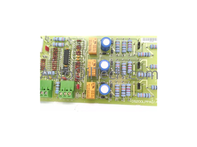 Placa de protección de línea DS200LPPAG1A de General Electric
