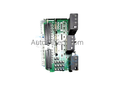 GE IS220PAOCH1B (IS230SNAOH2A) Analog Input