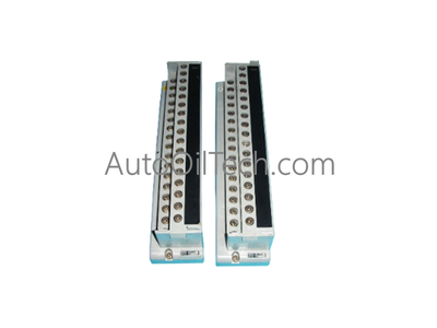 AMM42T | Yokogawa | 2-wire Transmitter Input Multiplexer Module