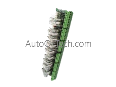 GE DS200RTBAG2AEB Placa de terminales de relé