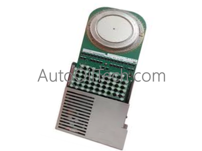 ABB 5SHX1960L0004 3BHL000390P0104 Control System Accessories