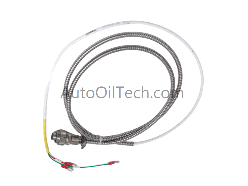 Bently Nevada 16710-06