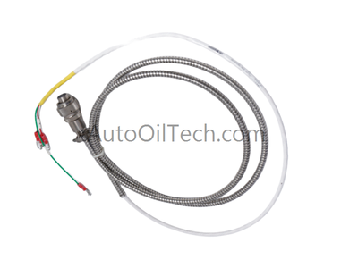 Bently Nevada 16710-06