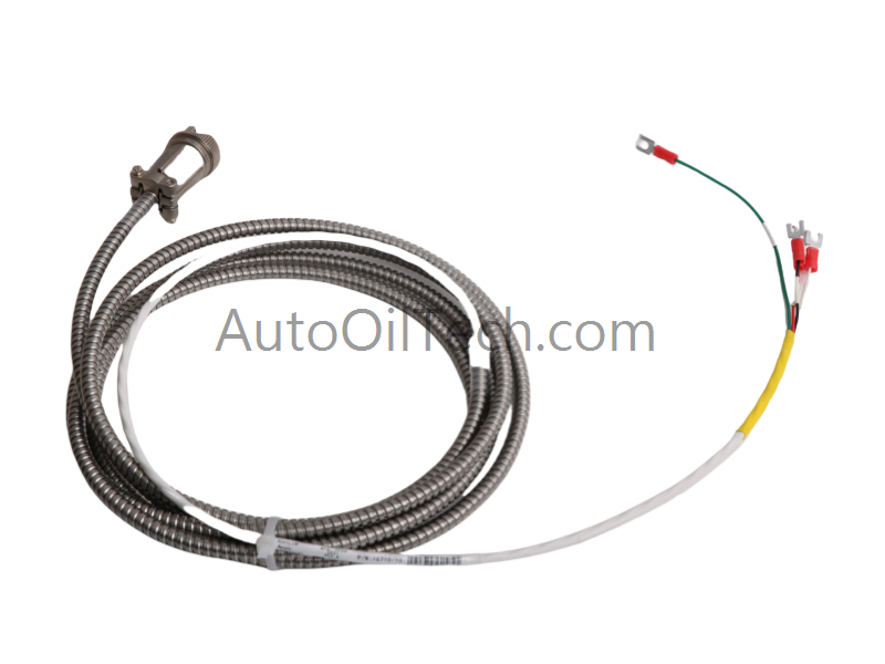 Bently Nevada 16710-10