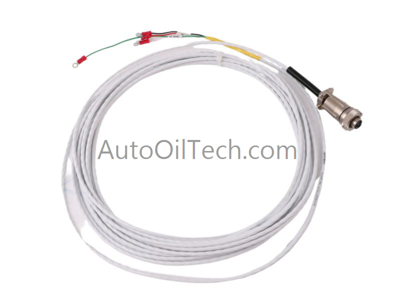 Bently Nevada 16925-30