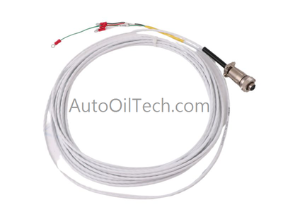 Bently Nevada 16925-30