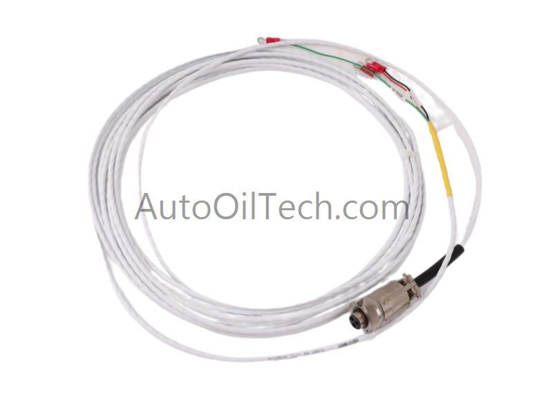 Bently Nevada 16925-30