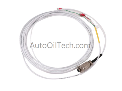 Bently Nevada 16925-30