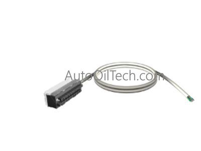 Schneider BMXFTW301S Juego de cables blindados preformados