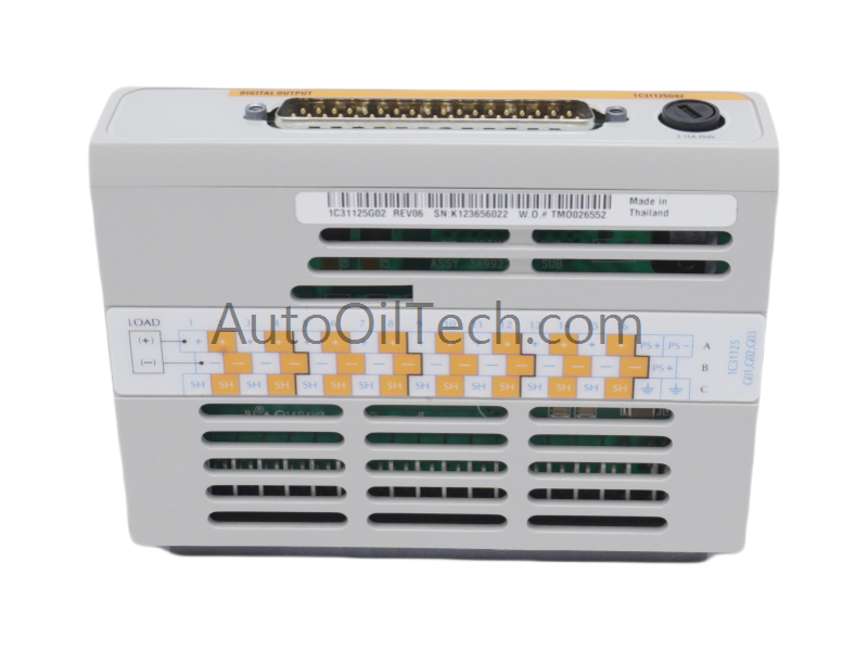 EMERSON 1C31125G02 | Módulo de salida digital DeltaV SIS™