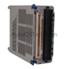 EMERSON 1C31189G01