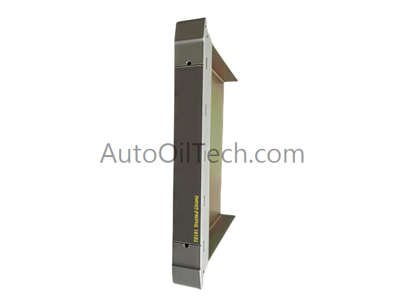 ICS Triplex T8191