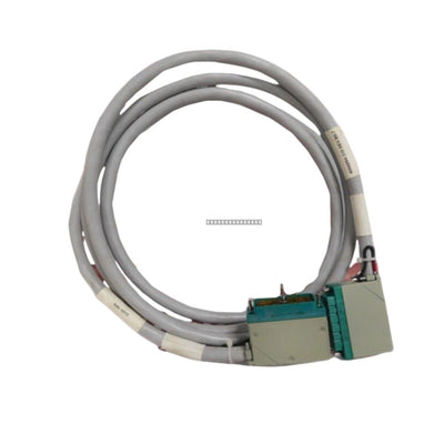 Triconex 4000094-310